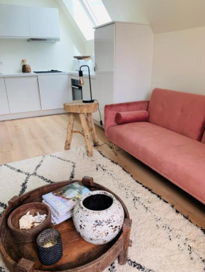 appartement de charme, vue bassin, parking gratuit